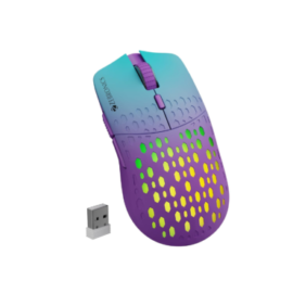 Best Mouse Under 1000 in India