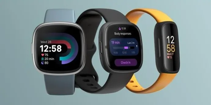 Are Fitbits Worth It in 2025?